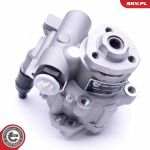 SKV GERMANY Hydraulikpumpe 10SKV256 SKV GERMANY Hydraulikpumpe 10SKV256