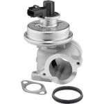 BorgWarner (Wahler) AGR-Ventil 712064D