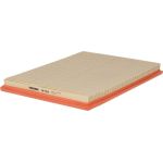 FILTRON Luftfilter AP 050