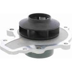 Vaico Wasserpumpe / Kühlmittelpumpe V40-50060