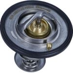 Thermostat, Kühlmittel DT1039V