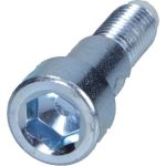 Hohlschraube, Lader 989-10-001