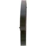 Bosch Keilrippenriemen 1987948435 Bosch Keilrippenriemen 1987948435