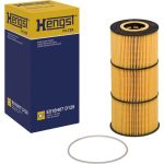 Hengst Ölfilter E510H07 D129 Hengst Ölfilter E510H07 D129