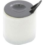 Champion Luftfilter CAF100469C Champion Luftfilter CAF100469C