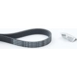 CONTINENTAL CTAM Keilrippenriemensatz 6PK842 ELAST T1 CONTINENTAL CTAM Keilrippenriemensatz 6PK842 ELAST T1