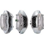 Tauschbremssattel 3293000