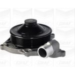 PA 1081 Wasserpumpe PA1081