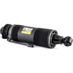 Arnott Luftfederbein HA li SK-2415 Arnott Luftfederbein HA li SK-2415