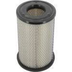 Champion Luftfilter CAF100491C Champion Luftfilter CAF100491C