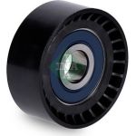 Umlenk-/Führungsrolle, Keilrippenriemen 532 0666 10 Umlenk-/Führungsrolle, Keilrippenriemen 532 0666 10