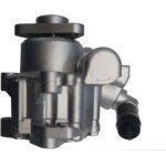 SPIDAN Hydraulikpumpe 54013 SPIDAN Hydraulikpumpe 54013