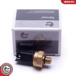 ESEN SKV Sensor, Kraftstoffdruck 17SKV620 ESEN SKV Sensor, Kraftstoffdruck 17SKV620
