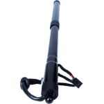 MAXGEAR Gasfeder, Einlegeboden (Koffer-/Laderaum) 12-2565 243223 MAXGEAR Gasfeder, Einlegeboden (Koffer-/Laderaum) 12-2565 243223