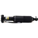 Arnott Luftfederbein VA li SK-2413 Arnott Luftfederbein VA li SK-2413