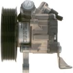Servopumpe K S00 000 694 Servopumpe K S00 000 694