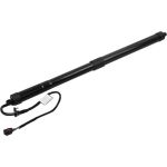MAXGEAR Gasfeder, Einlegeboden (Koffer-/Laderaum) 12-2553 238840