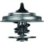 Thermostateinsatz mit Dichtung TX 18 87D