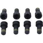 Sachs Schwungrad 2294 501 206 Sachs Schwungrad 2294 501 206