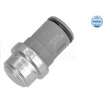 MEYLE Kühlmitteltemperatur-Sensor 100 919 0010 MEYLE Kühlmitteltemperatur-Sensor 100 919 0010