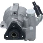 Bosch mechanische Servopumpe K S02 000 000