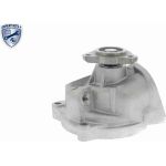 Vaico Wasserpumpe / Kühlmittelpumpe V10-50048