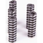 Druckfeder 2434614055 Druckfeder 2434614055