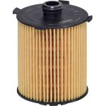 Hengst Ölfilter E217H D310 Hengst Ölfilter E217H D310