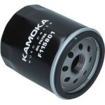 KAMOKA Ölfilter F115801