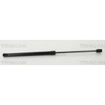 Gasfeder, Koffer-/Laderaum 8710292049
