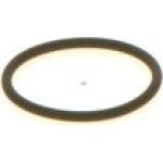 O-Ring 1410257042 O-Ring 1410257042