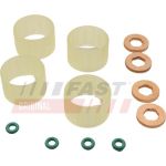 FAST Dichtungssatz, Einspritzdüse FT49652 FAST Dichtungssatz, Einspritzdüse FT49652