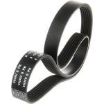 VKMV 6PK1004 R SKF Keilrippenriemen 6PK1004 R VKMV 6PK1004 R SKF Keilrippenriemen 6PK1004 R