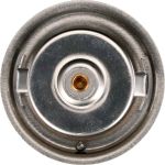 Gates Thermostat TH13480G1