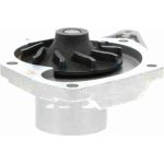 Vaico Wasserpumpe / Kühlmittelpumpe V46-50006 Vaico Wasserpumpe / Kühlmittelpumpe V46-50006