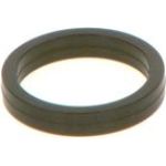 O-Ring F 00V C38 100 O-Ring F 00V C38 100
