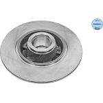 Bremsscheibe Renault T. 08- Megane 08-/Scenic 09- Ohne Abs-Lager Und Ring 16-15 523 0024 Bremsscheibe Renault T. 08- Megane 08-/Scenic 09- Ohne Abs-Lager Und Ring 16-15 523 0024