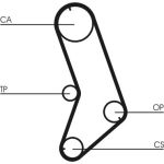 Continental CTAM Timing-Kit CT647K5 Continental CTAM Timing-Kit CT647K5