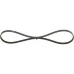 Bosch Keilrippenriemen 1987946288 Bosch Keilrippenriemen 1987946288