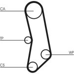 Continental CTAM Timing-Kit CT503WP1 Continental CTAM Timing-Kit CT503WP1