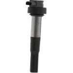 BorgWarner (BERU) Zündspule ZS386 BorgWarner (BERU) Zündspule ZS386