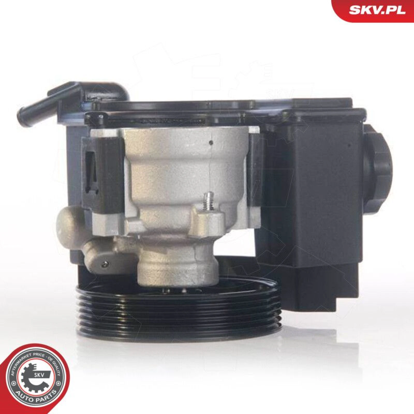 SKV GERMANY Hydraulikpumpe 10SKV171
