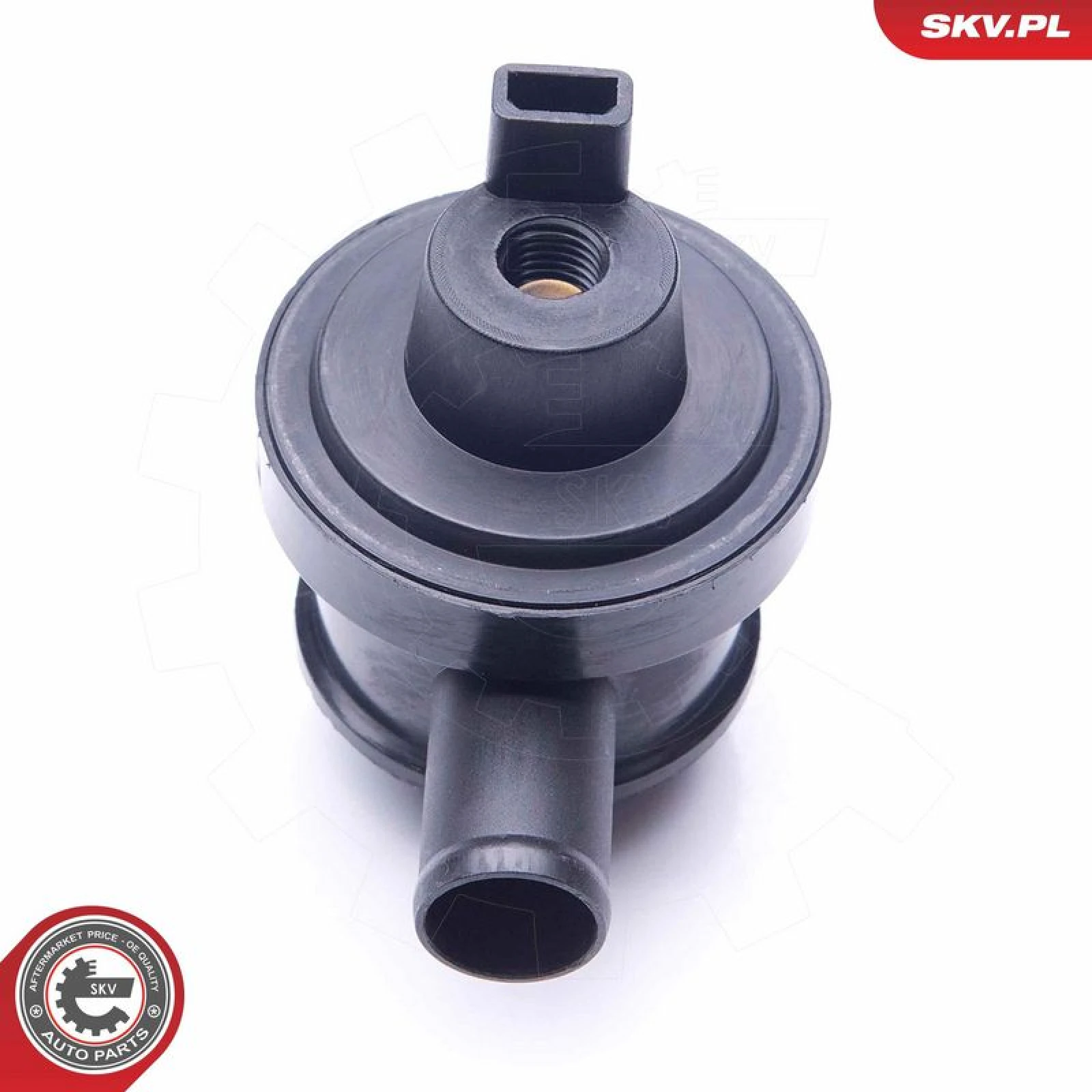 SKV GERMANY Ventil 31SKV096