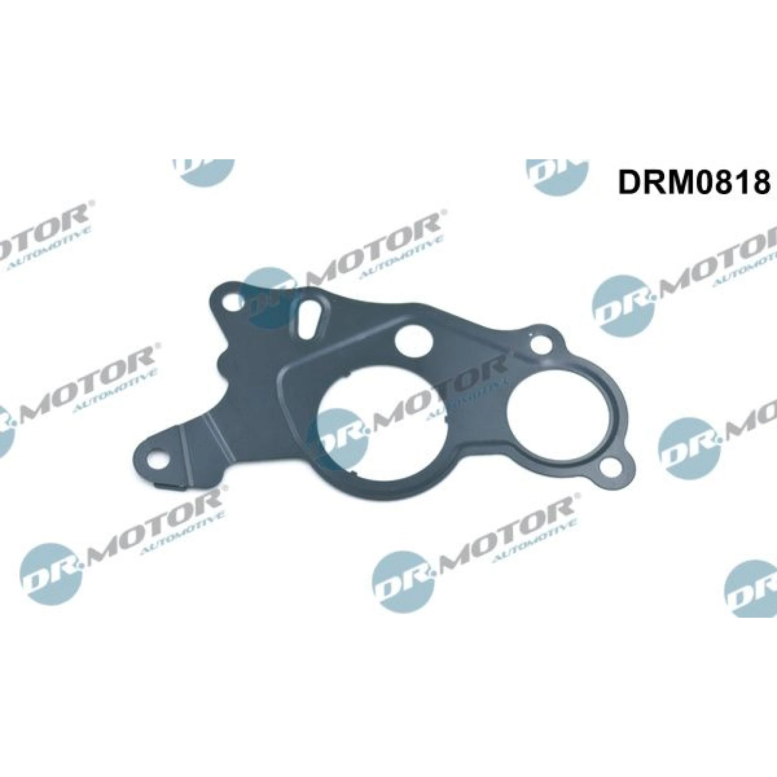 Dichtung, Unterdruckpumpe DRM0818
