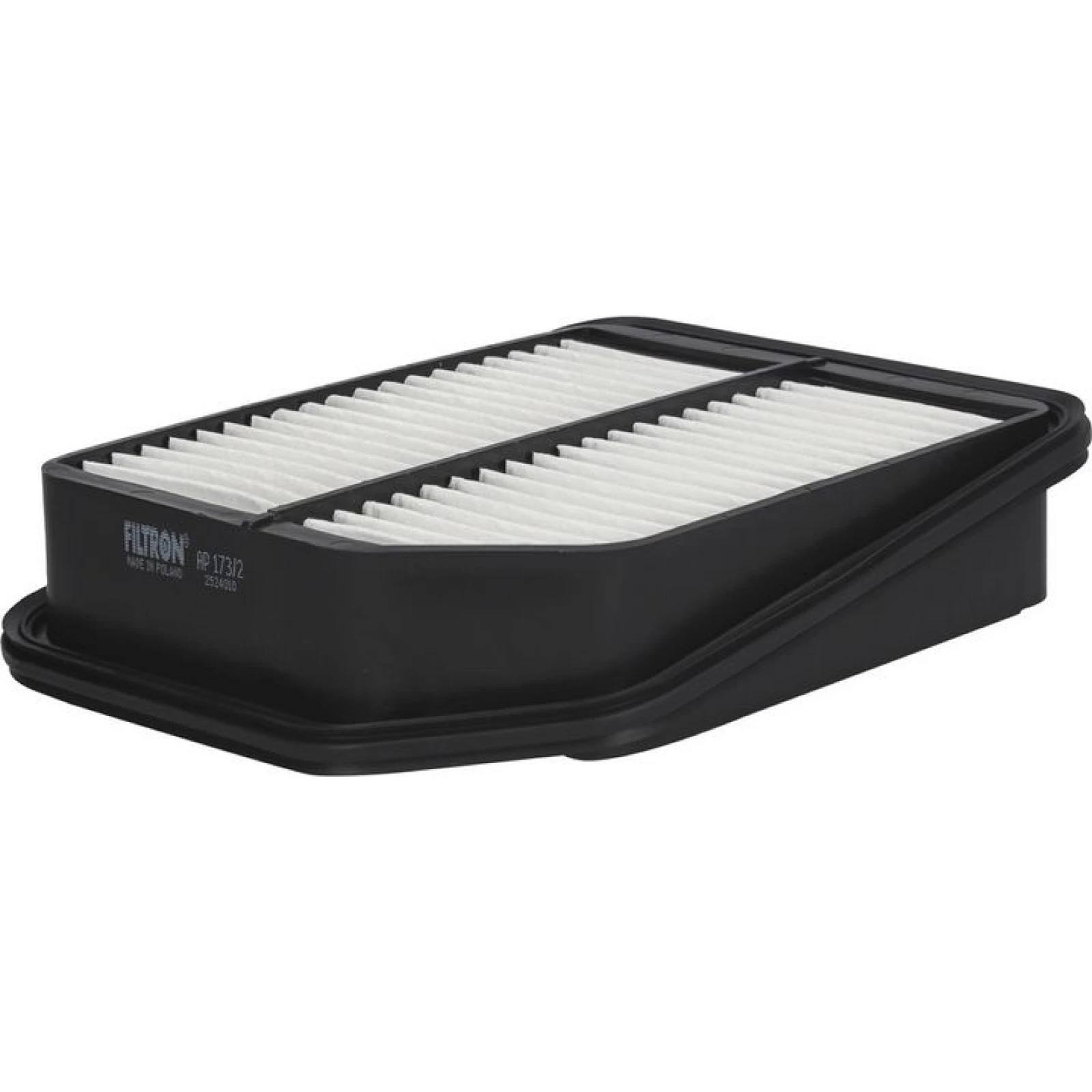 FILTRON Luftfilter AP 173/2