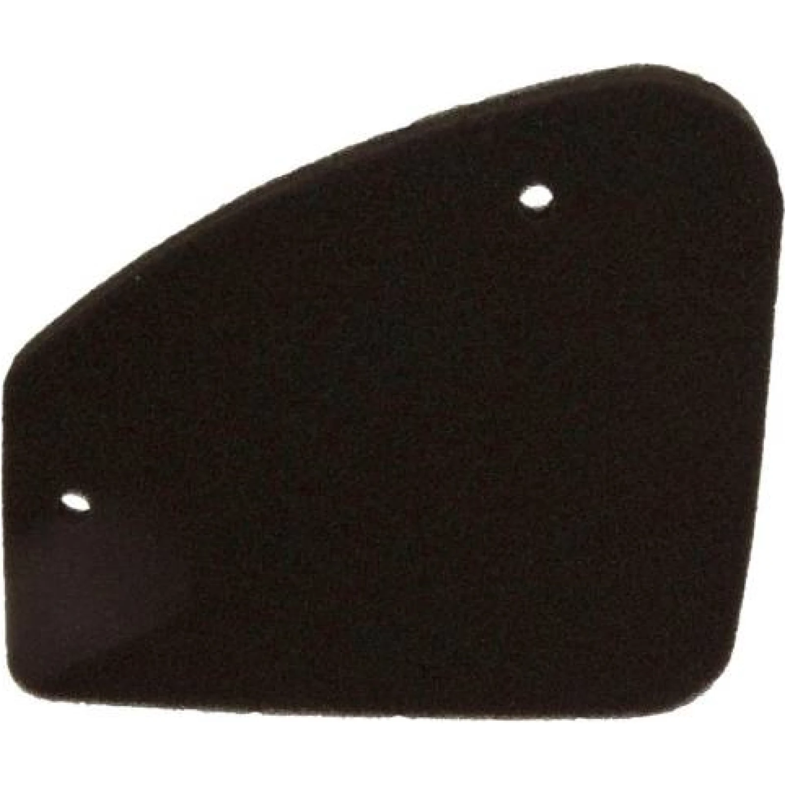 Motorluftfilter. Peugeot Buxy 50Cc 10 060 0371