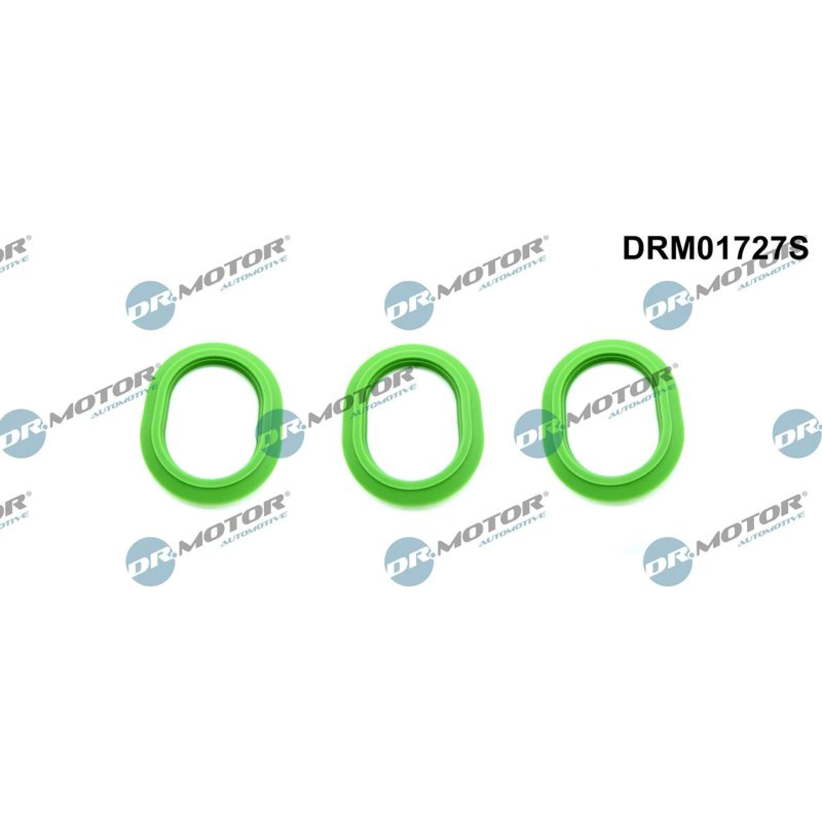 DR.MOTOR Dichtungssatz, Ansaugkrümmer DRM01727S