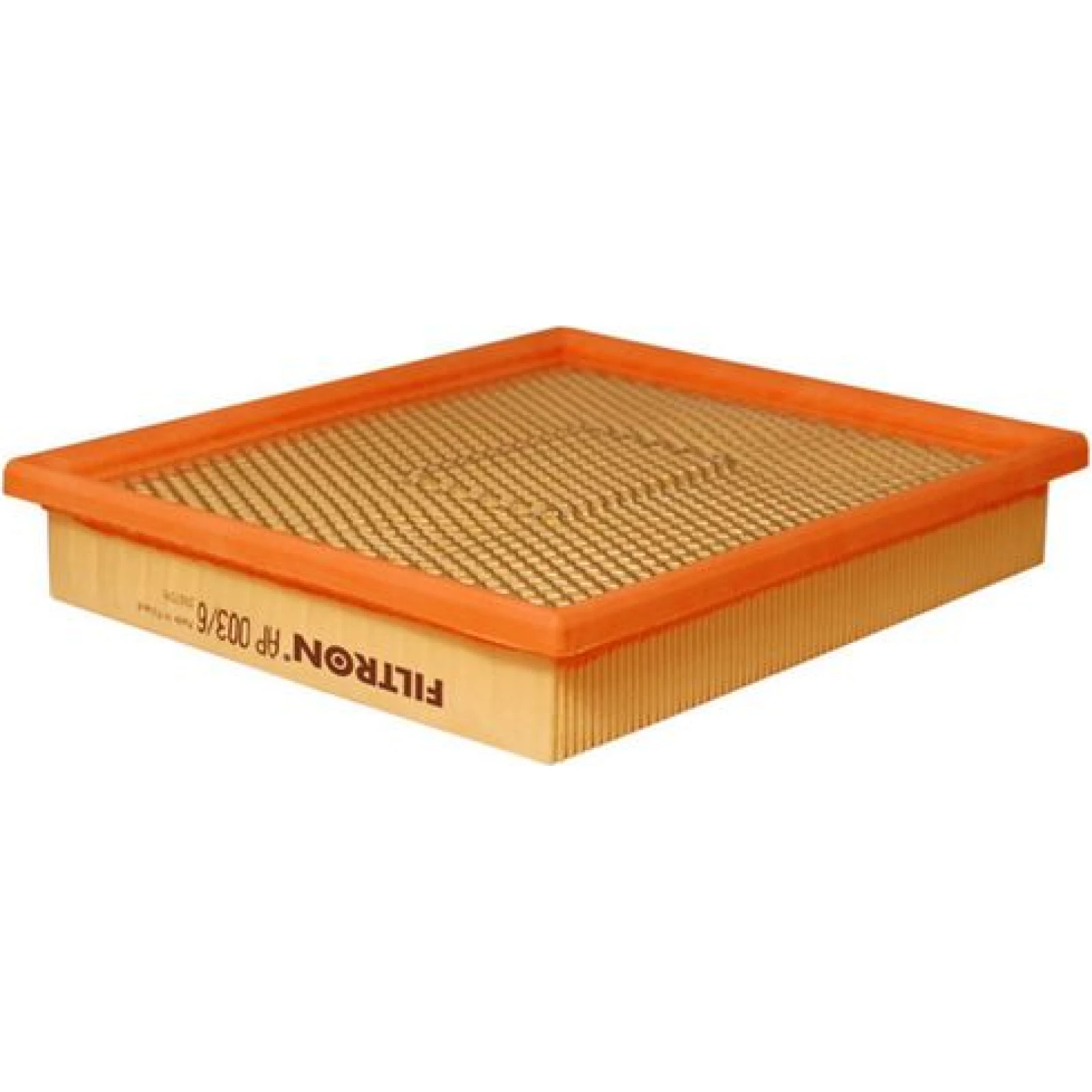 FILTRON Luftfilter AP 003/6