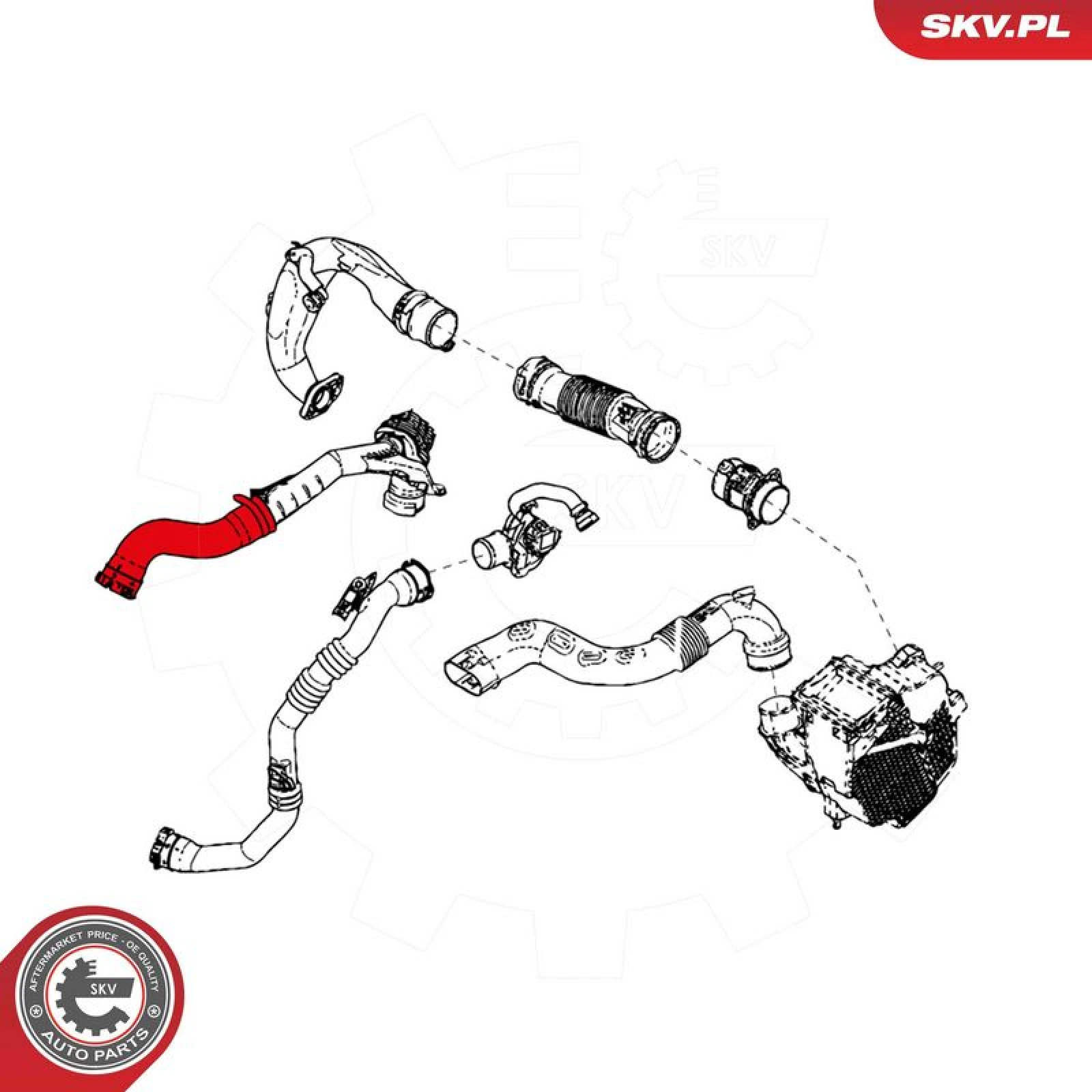 SKV GERMANY Luftschlauch 24SKV832