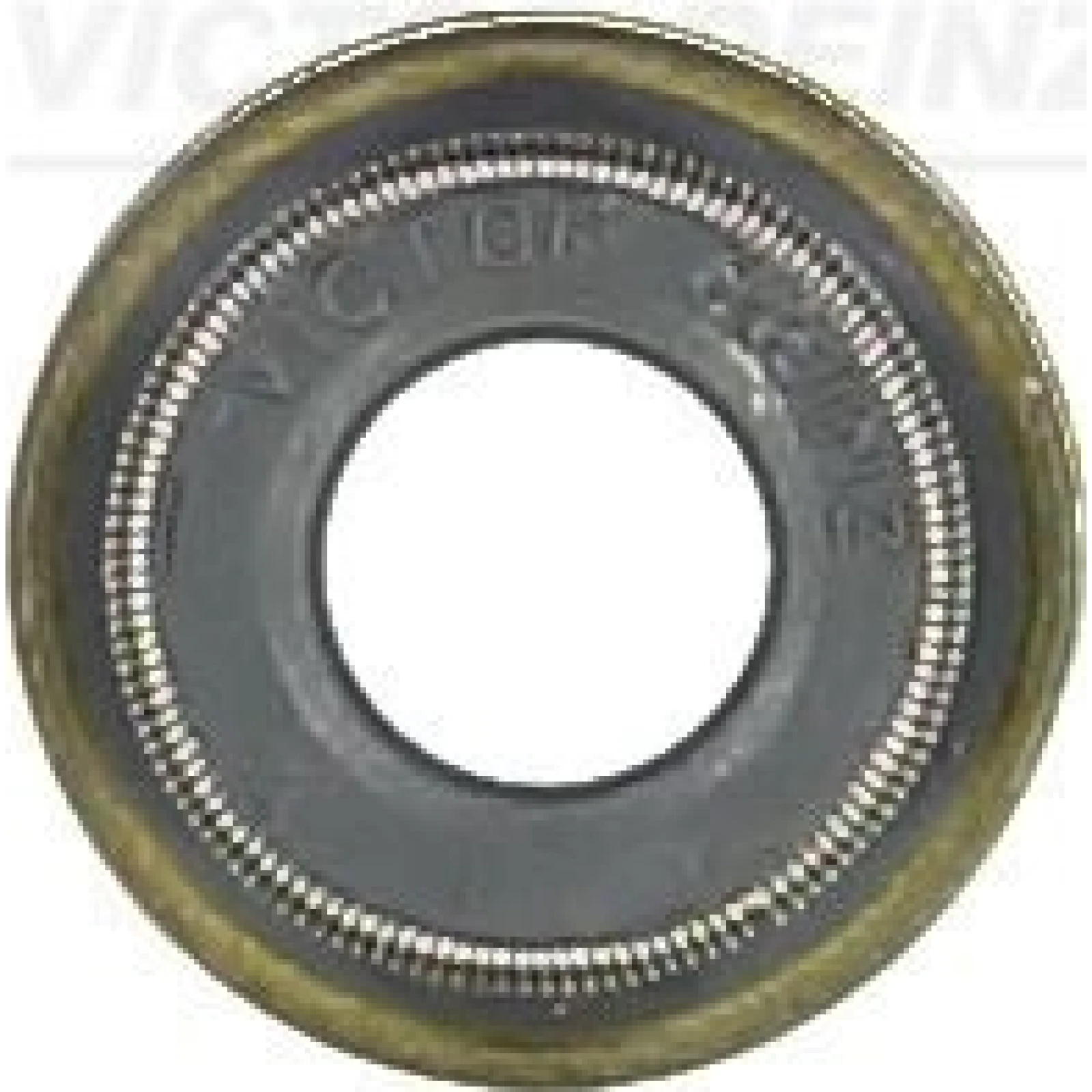 REINZ Versiegelung 70-53854-00